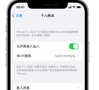 海州apple服务站点分享iPhone上个人热点丢失了怎么办 