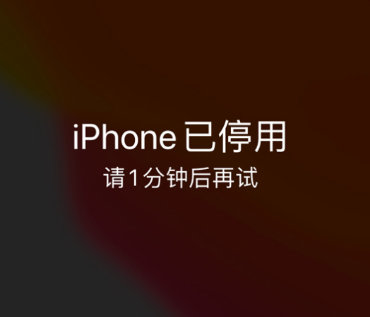 海州苹果手机维修分享:iPhone 显示“不可用”或“已停用”怎么办？还能保留数据吗？ 