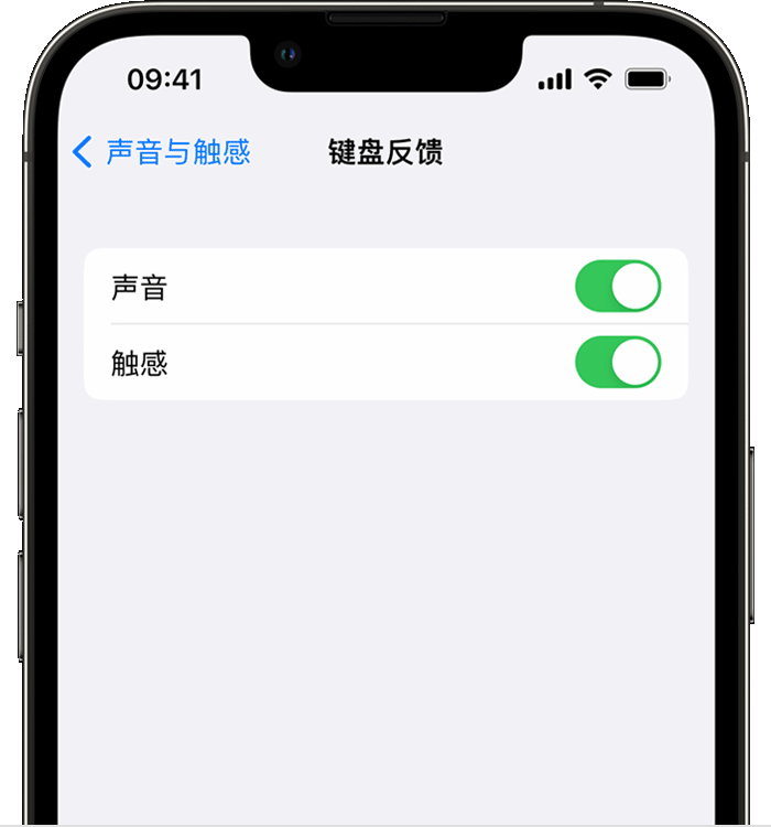 海州苹果14维修店分享如何在 iPhone 14 机型中使用触感键盘 