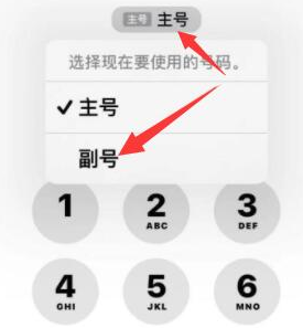 海州苹果14维修店分享iPhone 14 Pro Max使用副卡打电话的方法 