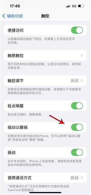 海州苹果手机维修分享iPhone手机如何设置摇一摇删除文字 